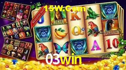 03win